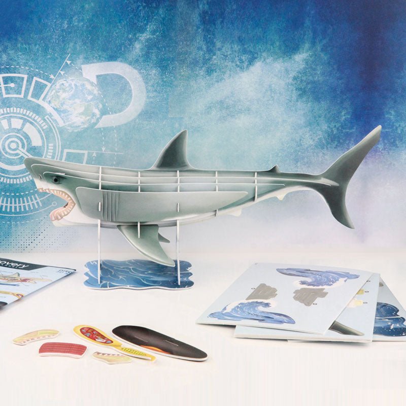 3D Shark Anatomy Construction Model - GeekCore